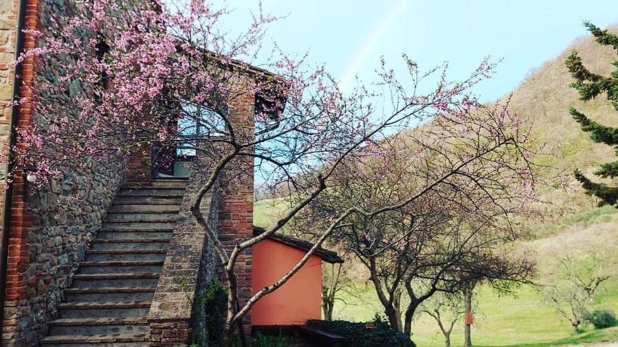 Agriturismo Paradiso41 อัสซิซี ภายนอก รูปภาพ