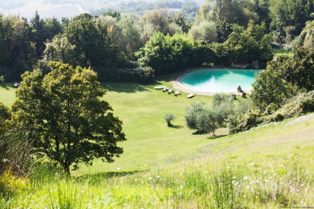 Agriturismo Paradiso41 อัสซิซี ภายนอก รูปภาพ