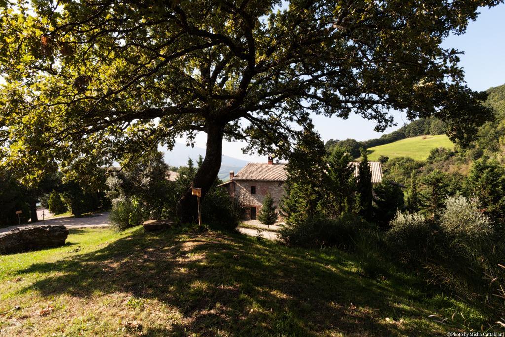 Agriturismo Paradiso41 อัสซิซี ภายนอก รูปภาพ