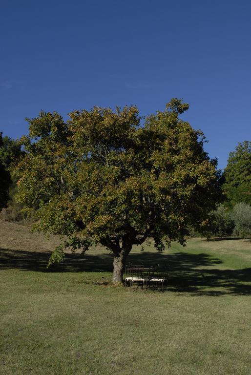 Agriturismo Paradiso41 อัสซิซี ภายนอก รูปภาพ