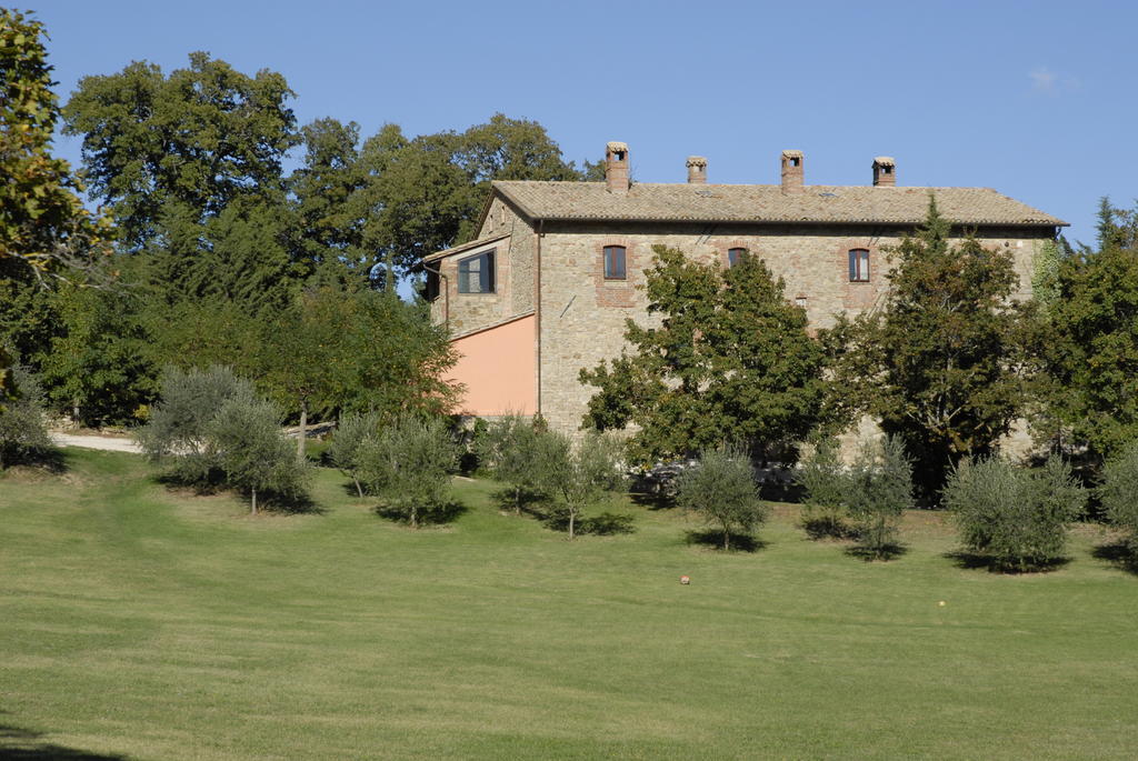 Agriturismo Paradiso41 อัสซิซี ภายนอก รูปภาพ