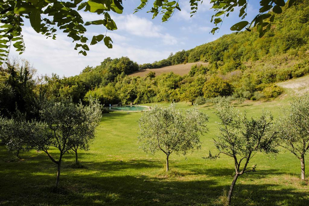 Agriturismo Paradiso41 อัสซิซี ภายนอก รูปภาพ